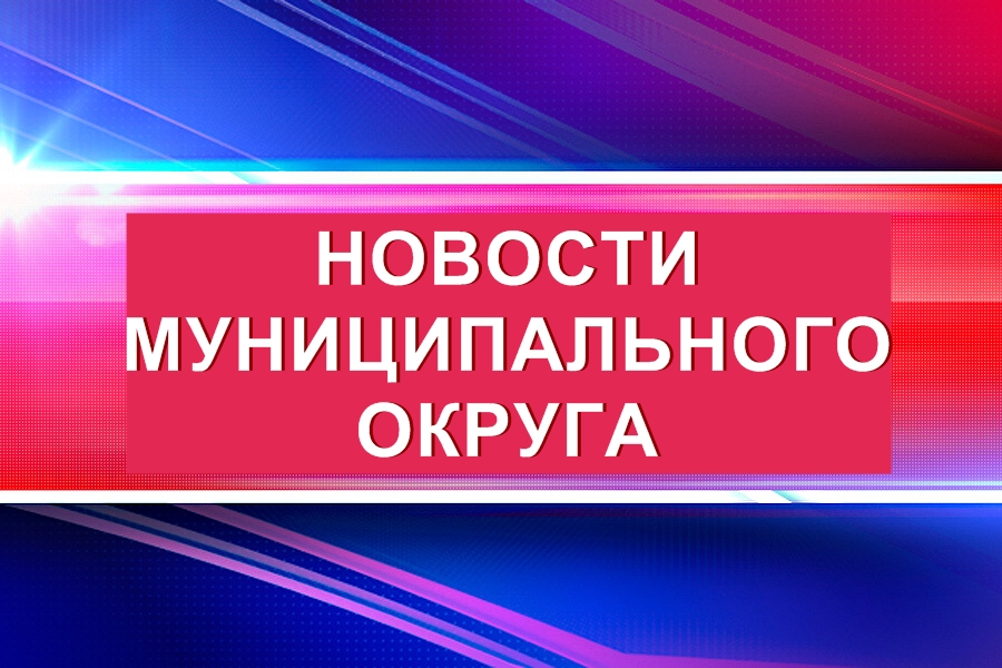 В Половинском муниципальном округе прошла серия мероприятий для молодых и будущих избирателей, посвященных государственному празднику – Дню России.