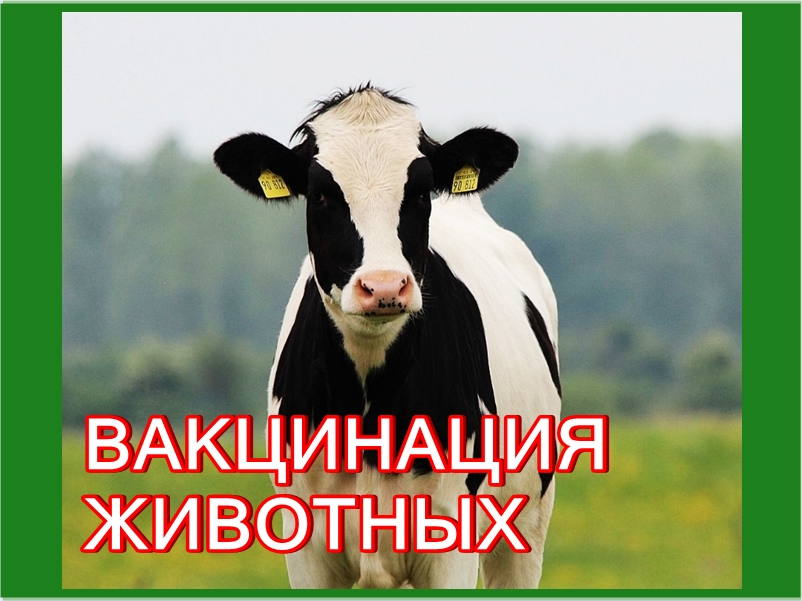 В соответствии со ст. 18 Закона РФ от 14.05.1993 № 4979-1 «О ветеринарии» владельцы животных обязаны осуществлять ветеринарные мероприятия, обеспечивающие предупреждение заразных болезней животных.