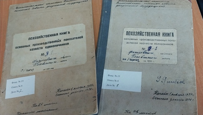 В муниципальном архиве Администрации Половинского муниципального округа на хранении находятся похозяйственные книги сельсоветов.