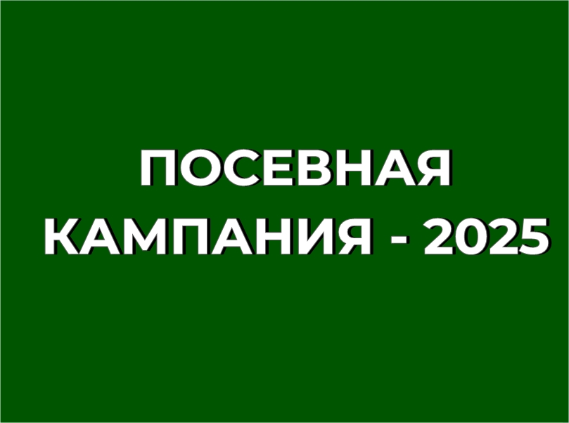 Посевная - 2025.