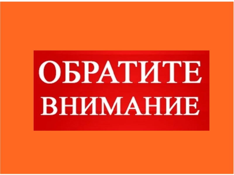 Экологический конкурс «Экология глазами молодежи».