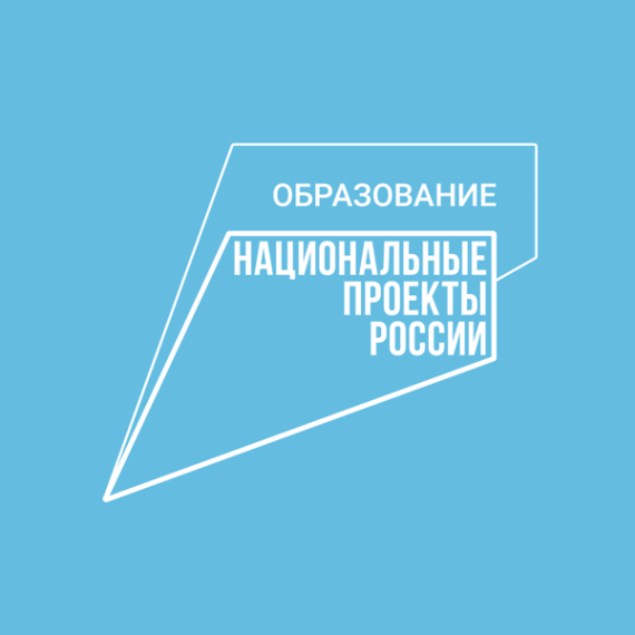 Половинский муниципальный округ: НП "Образование". Половинский муниципальный округ: НП "Образование".