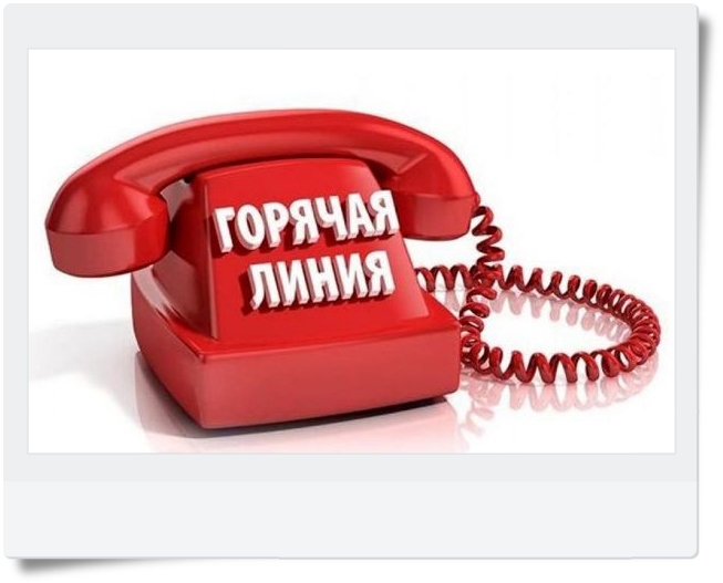 Горячая линия по профилактике клещевого энцефалита работает с 30 апреля по 13 мая. Горячая линия по профилактике клещевого энцефалита работает с 30 апреля по 13 мая.