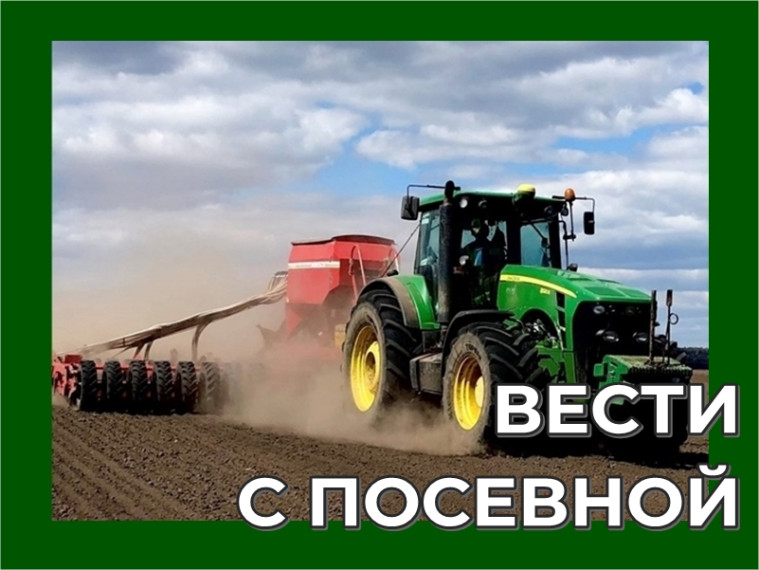 Посевная - 2024. Посевная - 2024.